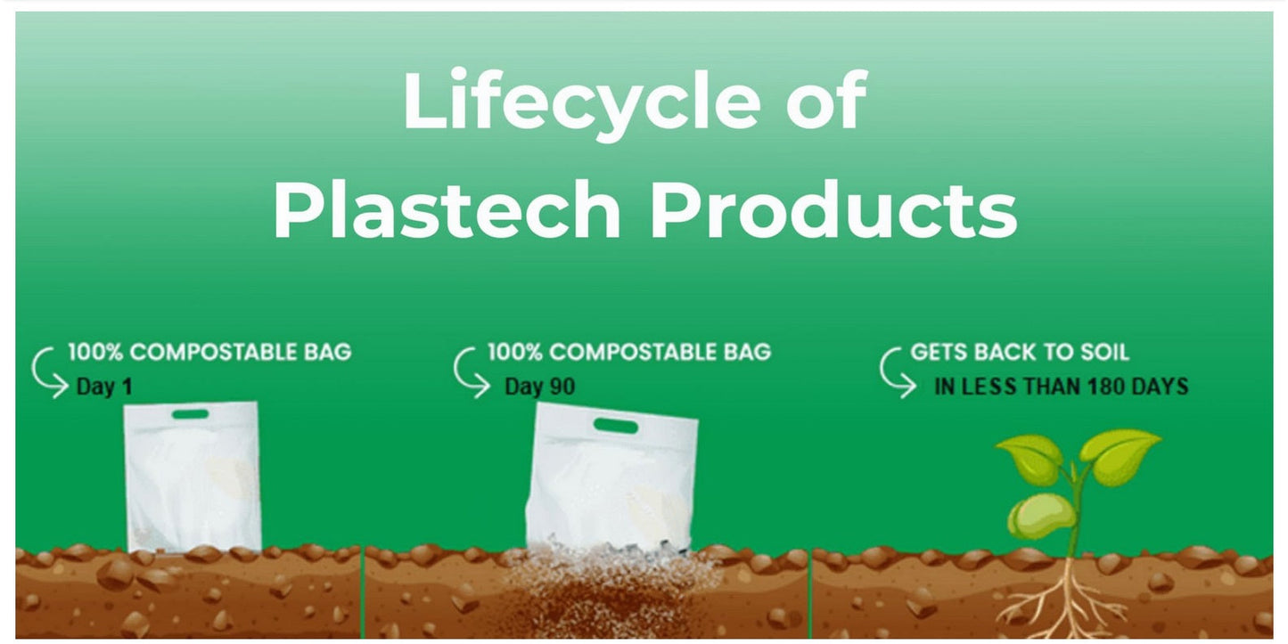 Plastech Jumbo Drinking Straws 100% NO Plastic Bulk Wrapped 1,500 Straws