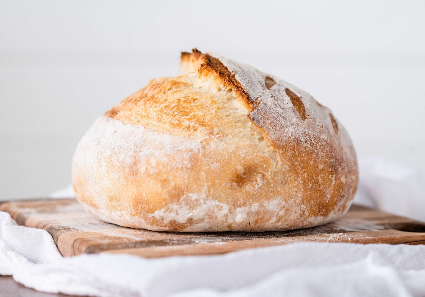(2) Bags of Sourdough Starter (12 grams each)
