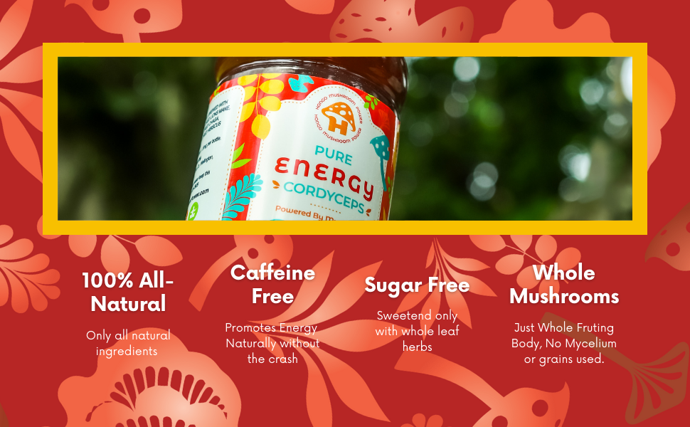 Hongo Pure Energy - Cordyceps, Lions Mane, Turkey Tail, Chaga, Hibiscus and Tulsi Rama - 5600mg of Mushrooms - Ready to Drink Mushroom Herbal Beverage