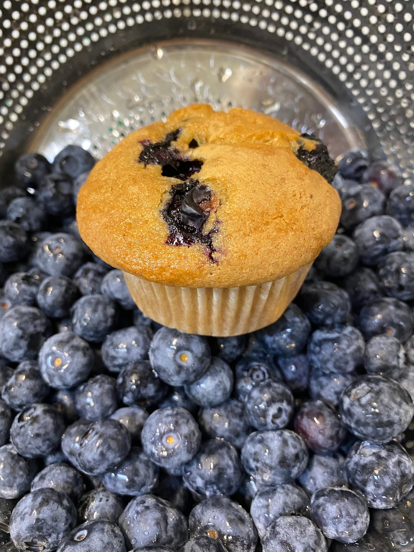 Yummi Muffin Blueberry Muffin 3oz 12-pack