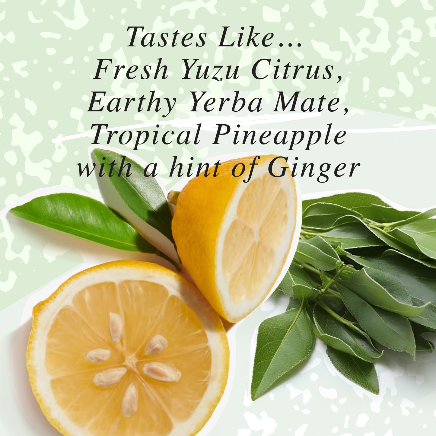 NA Functional Mocktail, Yerba Mate Yuzu, Energy & Focus, 8.4oz (12 Pack)