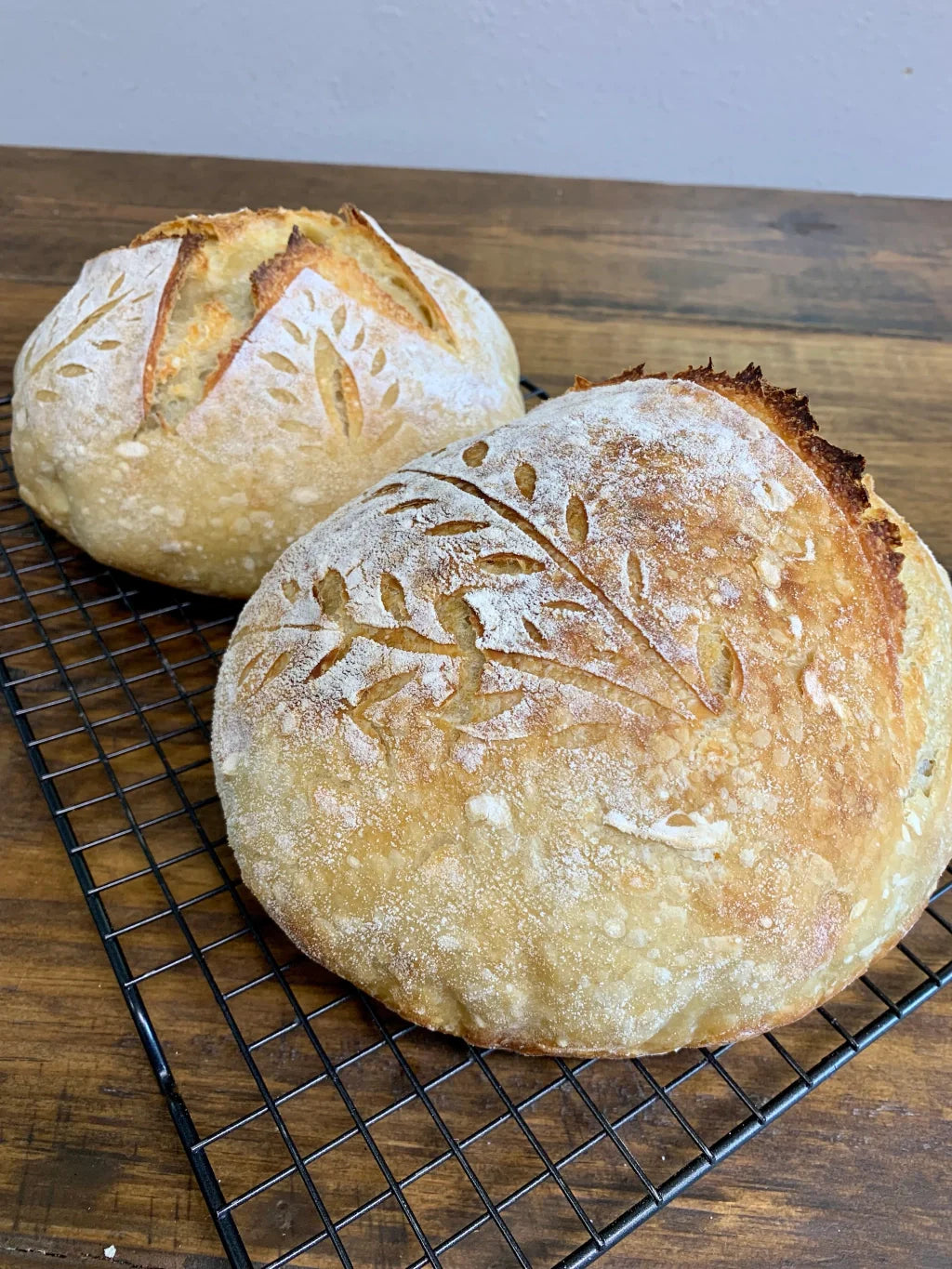 (2) Bags of Sourdough Starter (12 grams each)