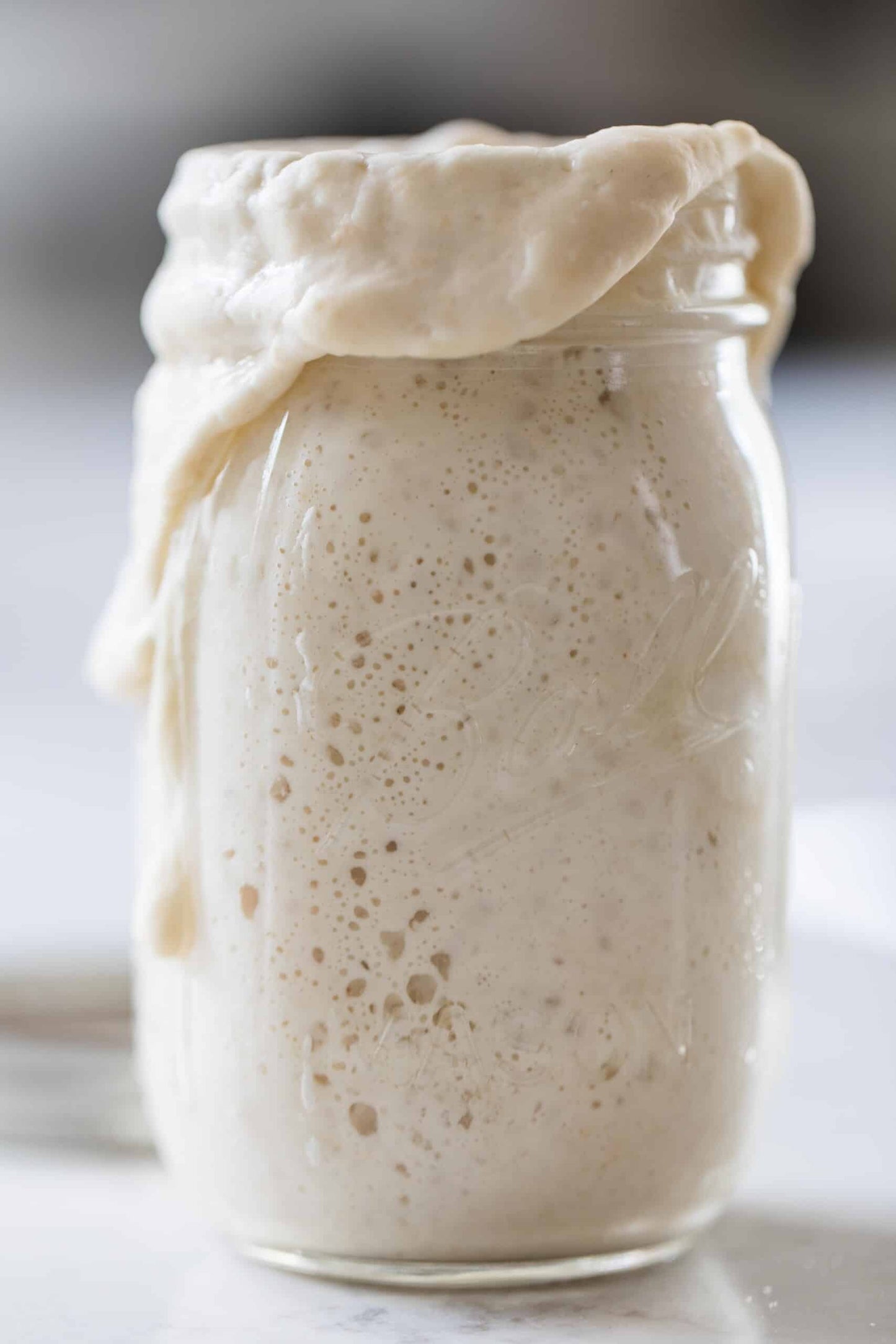 (2) Bags of Sourdough Starter (12 grams each)