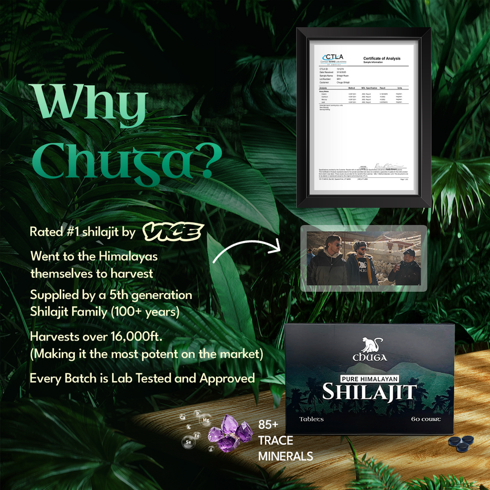 
                      
                        Chuga's Shilajit Tablets - 60 Servings
                      
                    