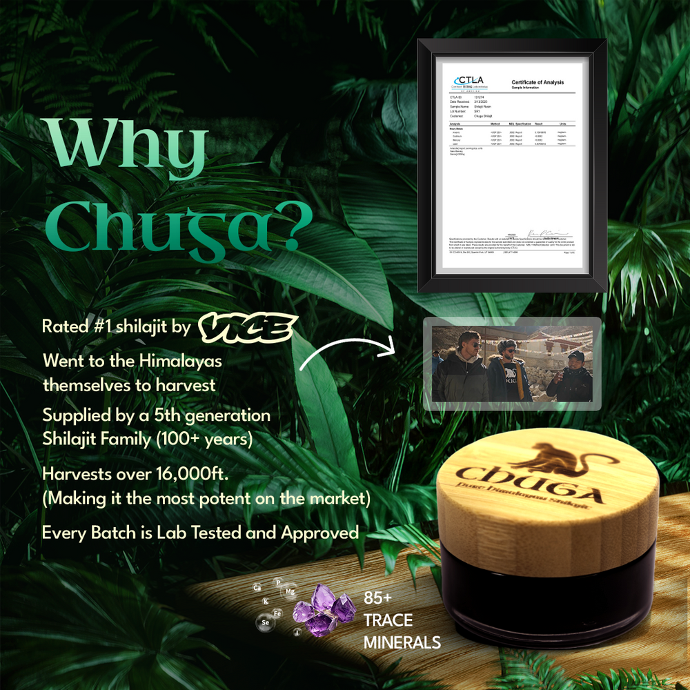 
                      
                        Chuga's Pure Himalayan Shilajit - 175 Servings
                      
                    