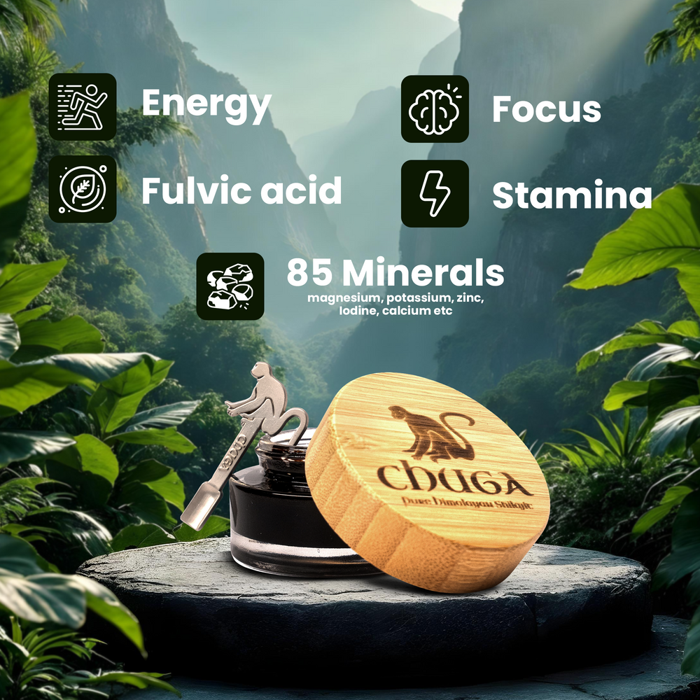 
                      
                        Chuga's Pure Himalayan Shilajit - 175 Servings
                      
                    