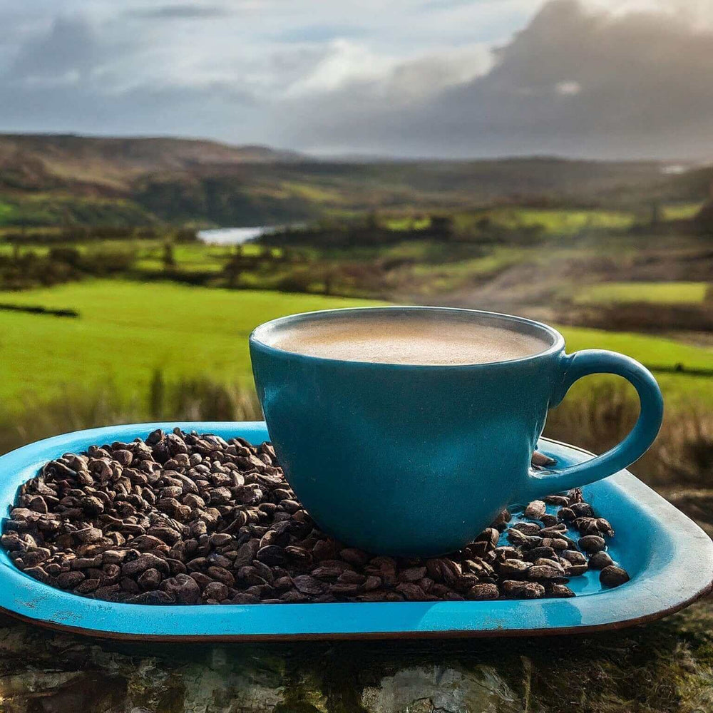 
                      
                        Gourmet Fancy Tanzania coffee cup with roasted beans on a tray overlooking lush green landscape.
                      
                    