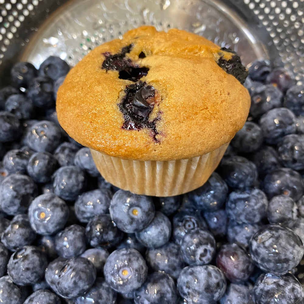 
                      
                        Yummi Muffin Blueberry Muffin 3oz 12-pack
                      
                    