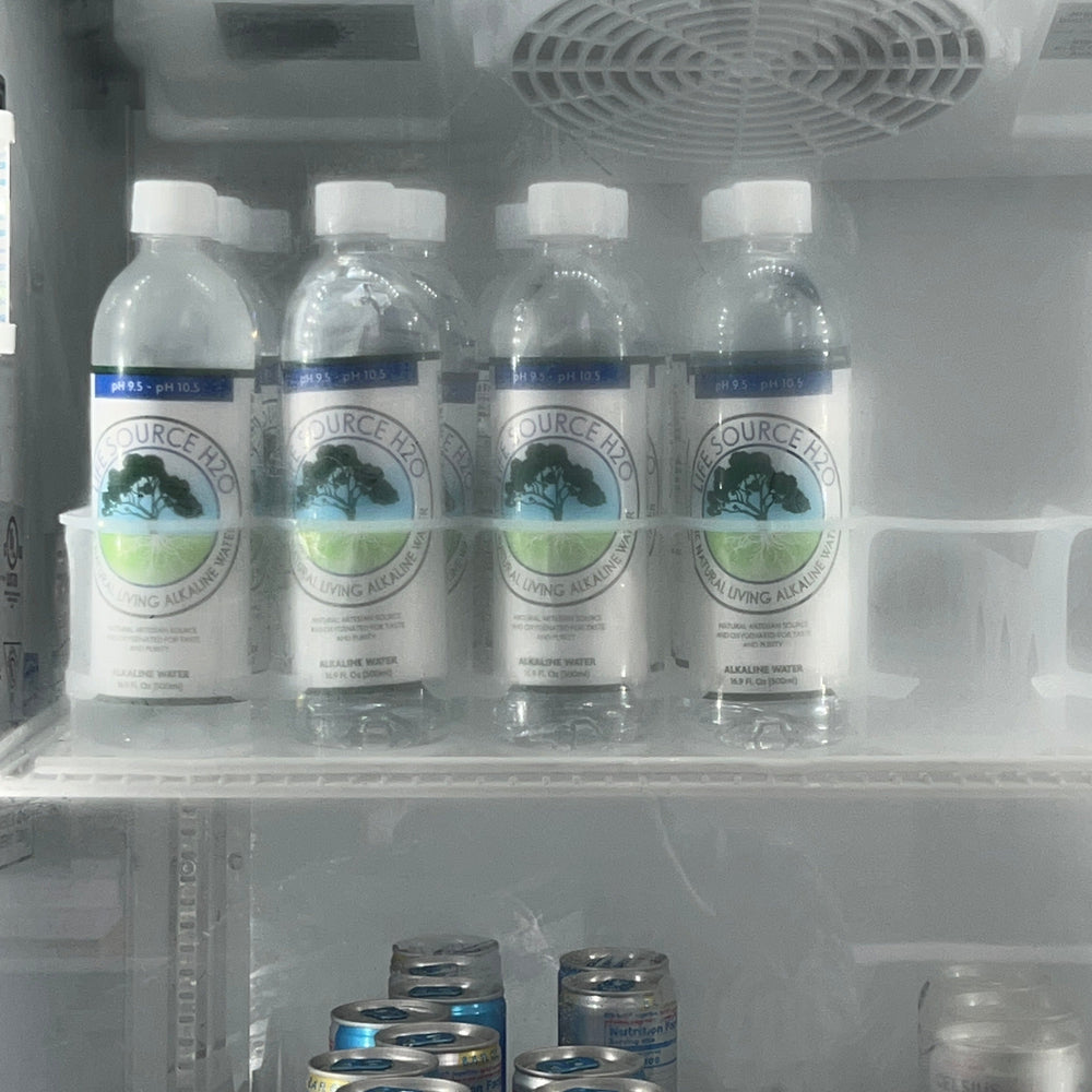 
                      
                        Lifesourceh2o The Natural Living Alkaline Water
                      
                    