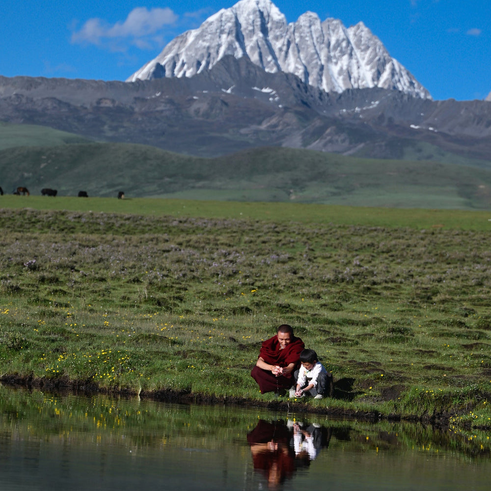 
                      
                        Tsoji Yin & Yang Shower Duo Soap Bars 3.88 oz per bar · Set of 2
                      
                    