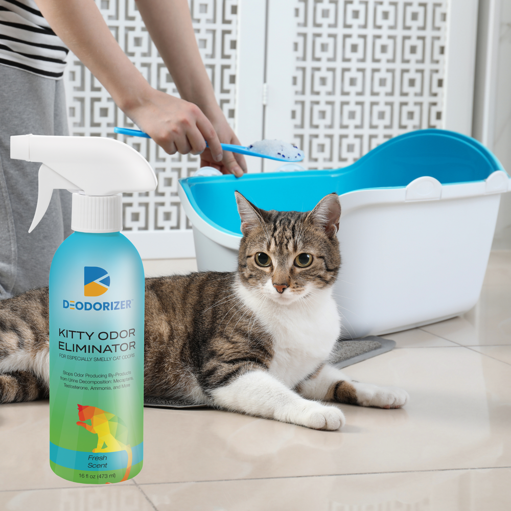 D-Odorizer - Kitty Lovers Odor Eliminator 16oz - 3 Pack