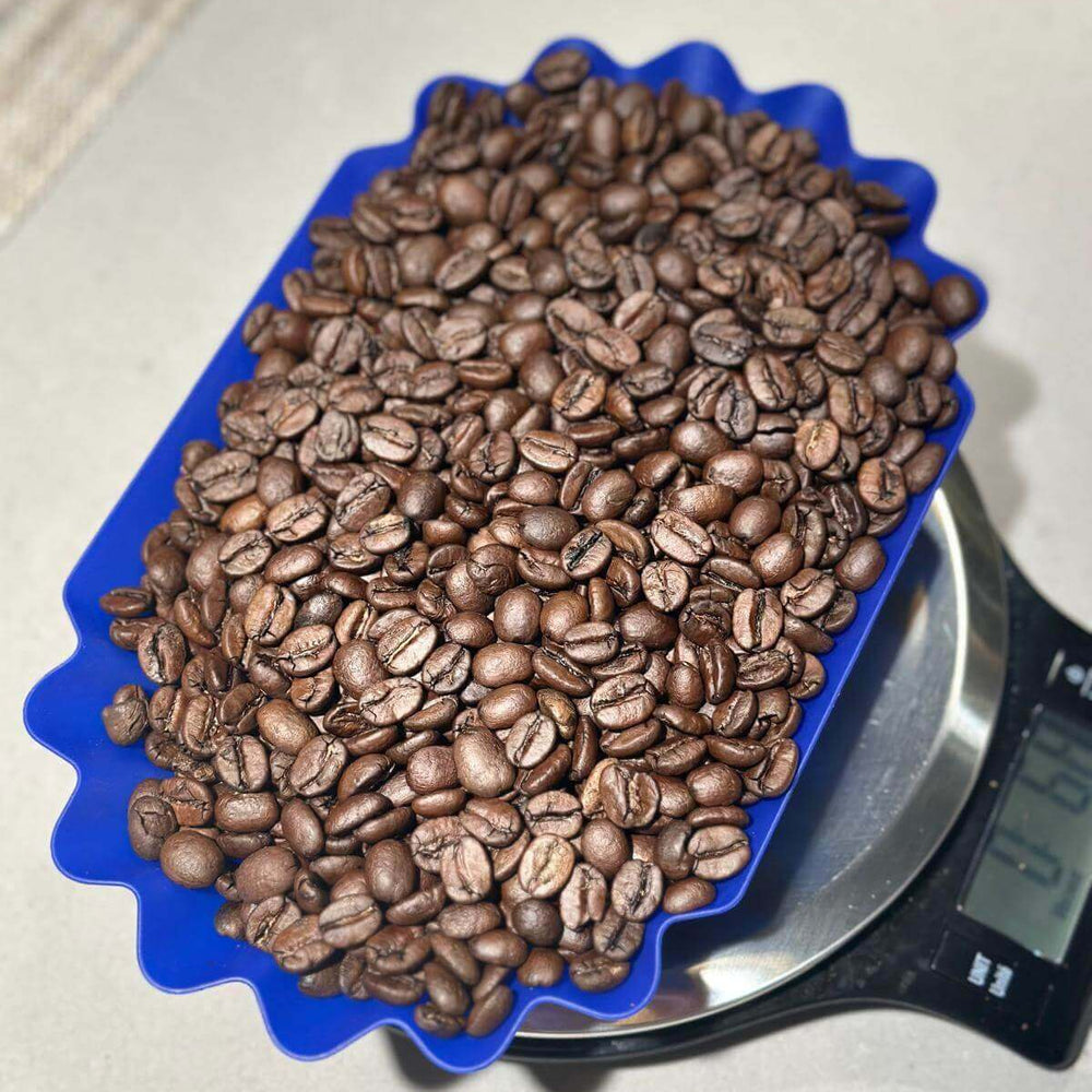 
                      
                        Zam Power Coffee beans in blue container showcasing dark roast with nutty, caramel notes from Altoi Paranaiba, Brazil.
                      
                    