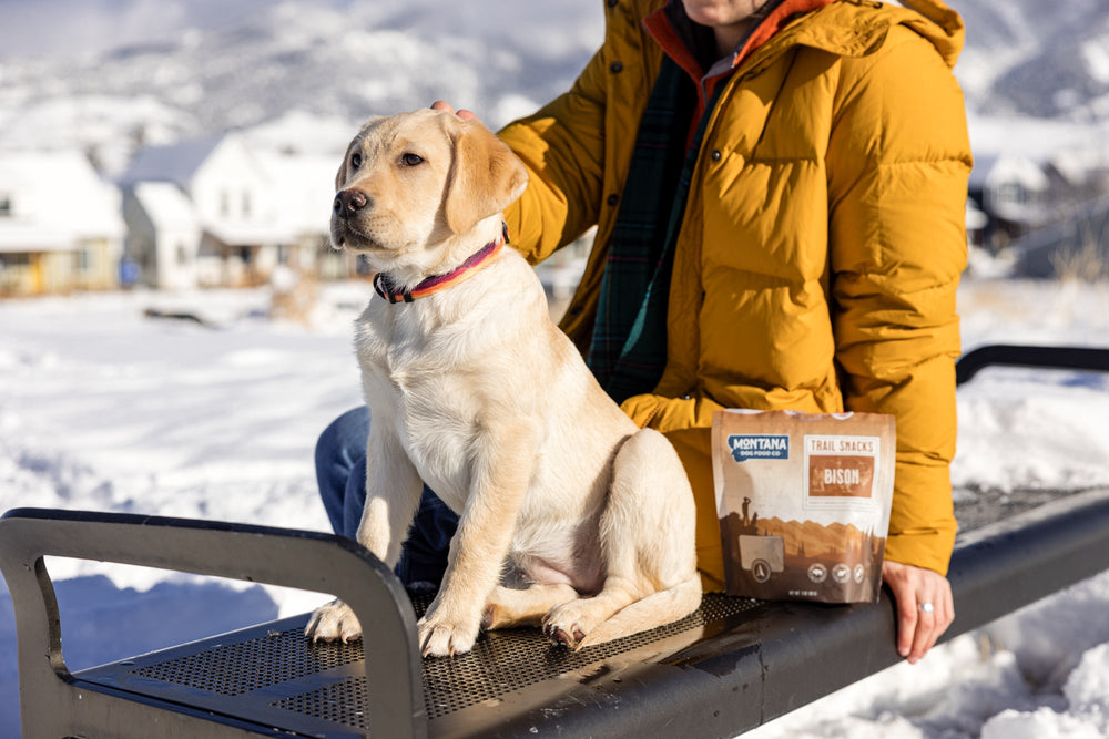 Montana Dog Food Co. Trail Snacks - 3 Pack (Bison, Beef, Chicken) - 3oz